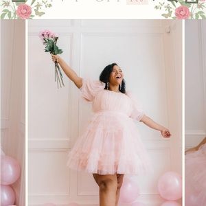 Ivy City Co Pink Tulle Dress